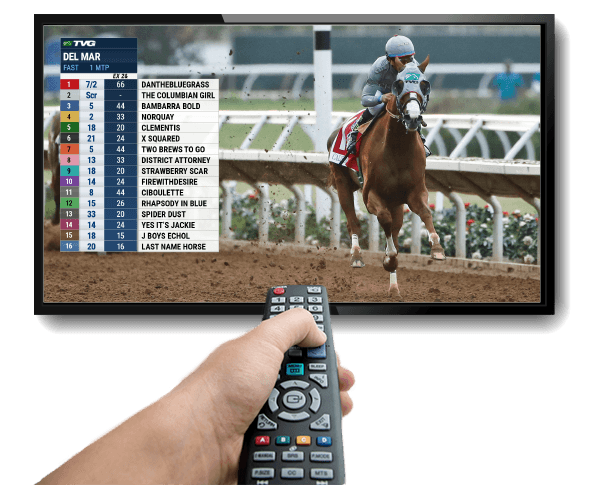 Watch Tvg And Tvg2 With Your Cable Provider